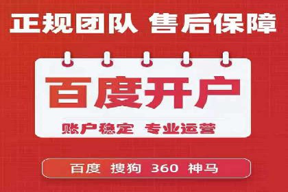 SEM推广在本地化服务中的应用案例